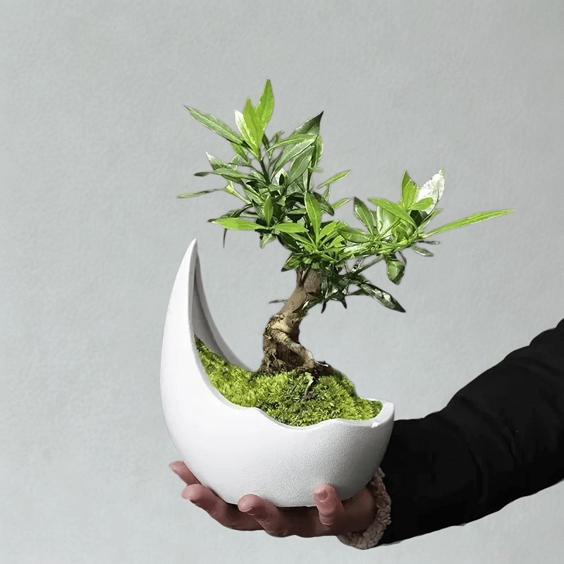 de5c1415-057b-41c9-ae5e-1334e57b7efd (1) de5c1415-057b-41c9-ae5e-1334e57b7efd (1)