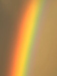 Bufnițe fermecătoare - 3 bucăți photo review